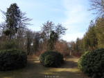 Sterrebos